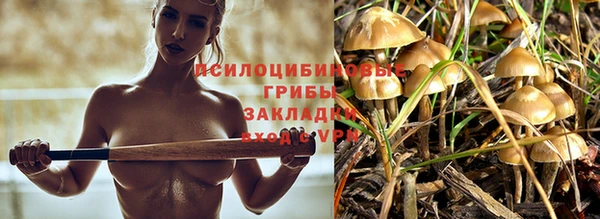 Альфа ПВП Богородицк