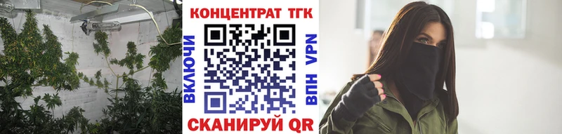 как найти   Зима  darknet клад  Дистиллят ТГК THC oil 