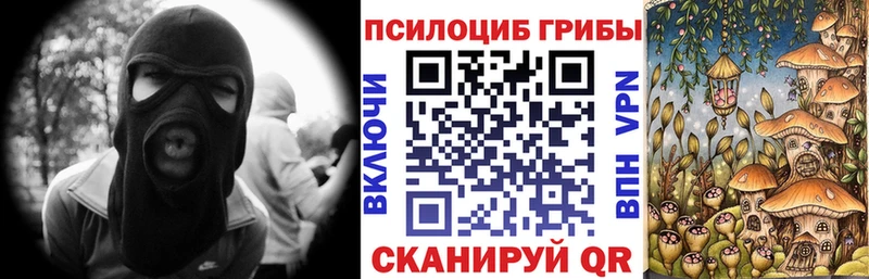 Псилоцибиновые грибы Cubensis где продают Зима
